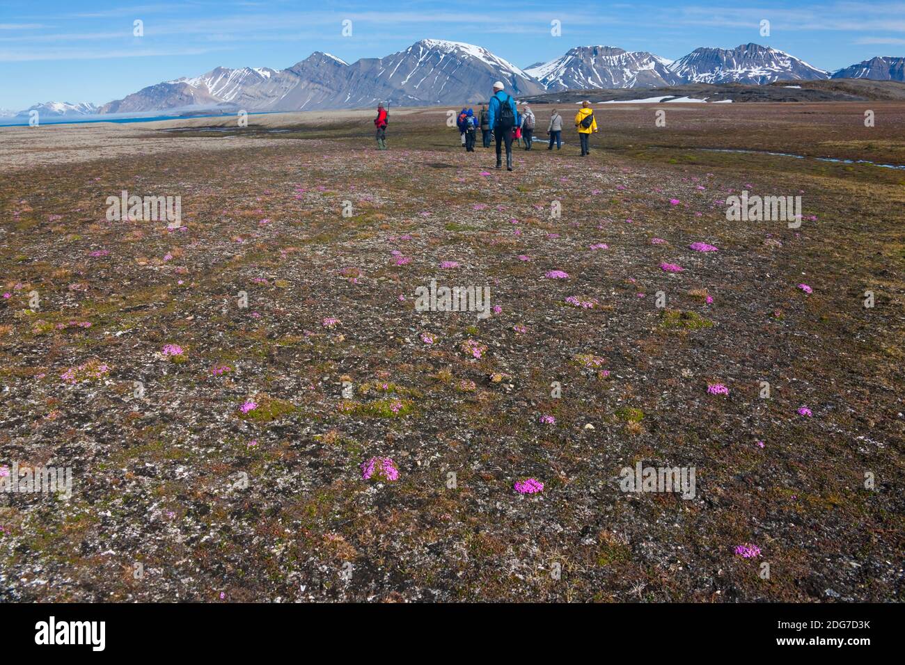 Tourists on the island covered with polar vegetation, Burgerbukta, Spitsbergen, Norway Stock Photo