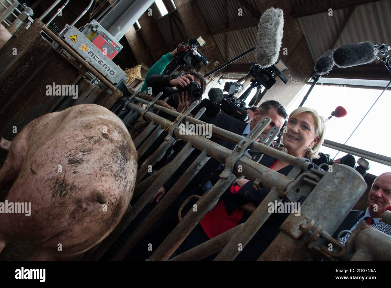 Presidential election candidate for the far-right Front National (FN) party Marine Le Pen visits a pig farm while campaigning, on March 30, 2017 in Pordic, western France. Photo by Vincent Feuray/ABACAPRESS.COM Stock Photo