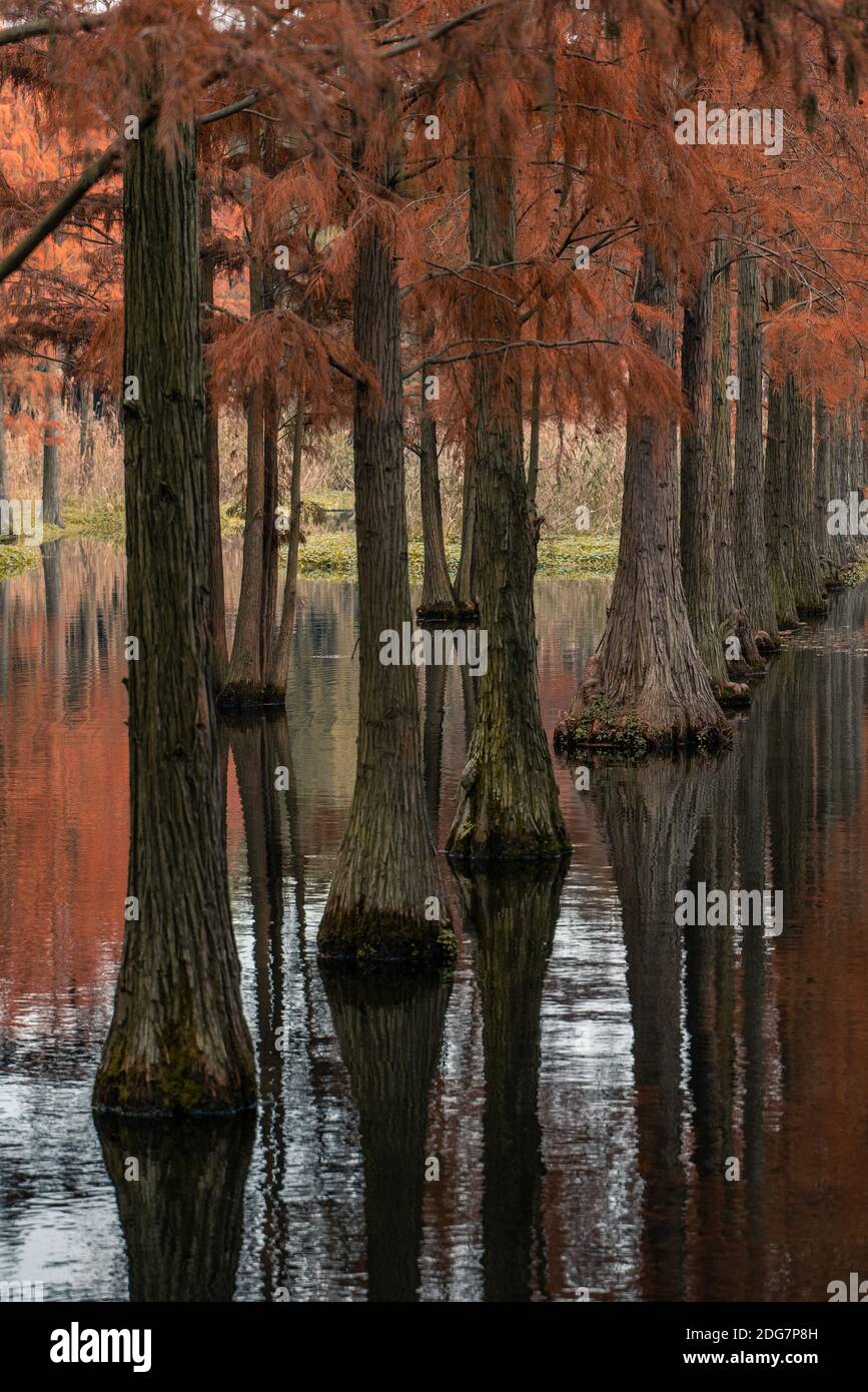 Header pond hi-res stock photography and images - Alamy