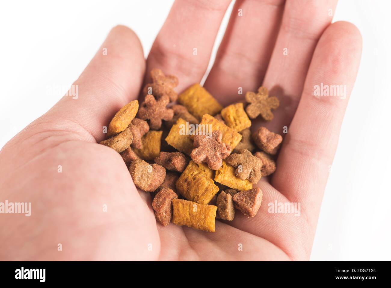 Dry food for pets in the palm of your hand on a white background Stock ...