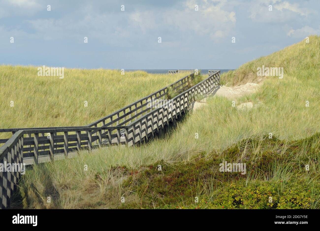 Wooden plank bridge hi-res stock photography and images - Alamy