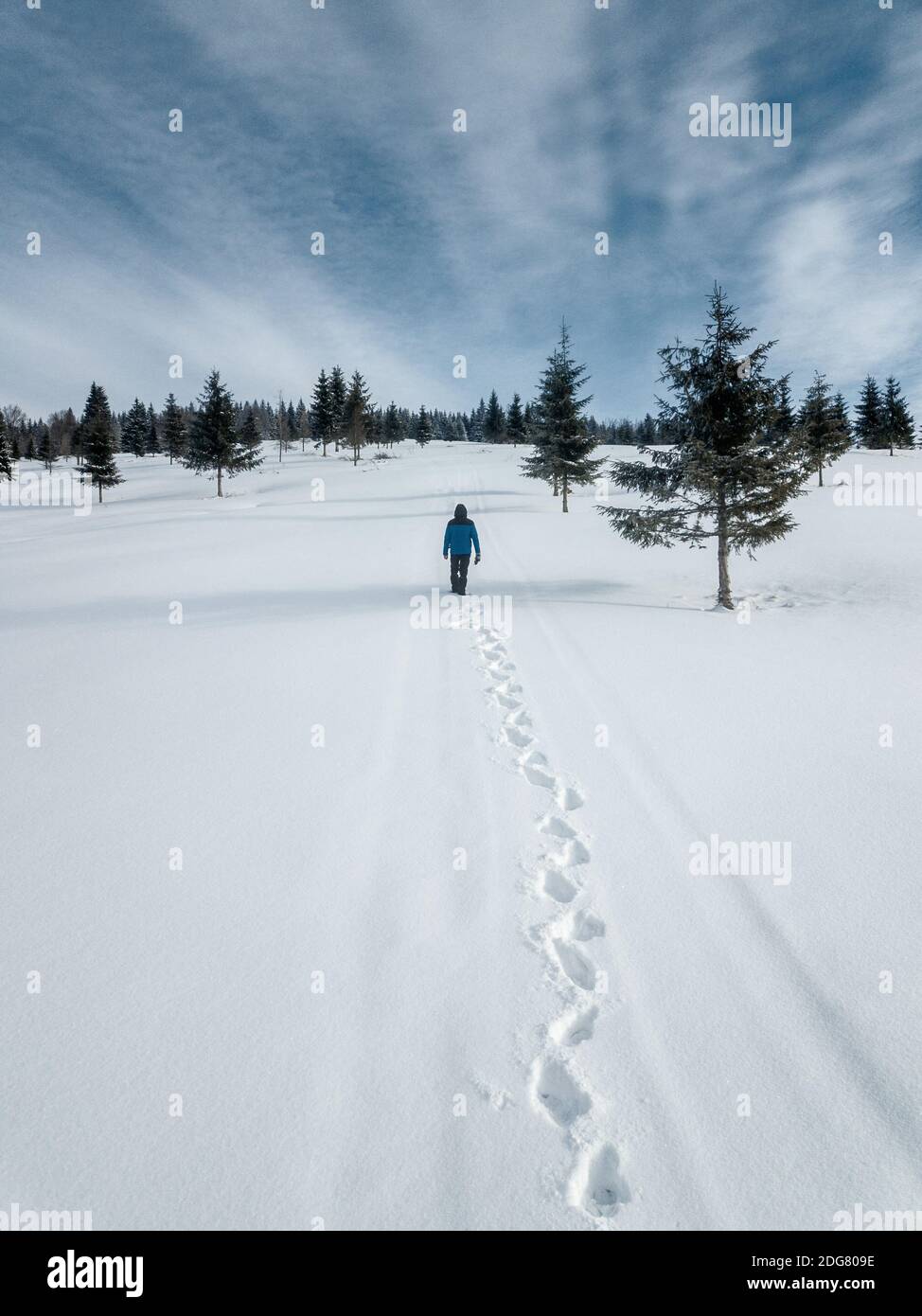 Explorer person making footsteps in pure white snow in the winter forest on a sunny day. Above view. Survival travel,lifestyle concept. Stock Photo