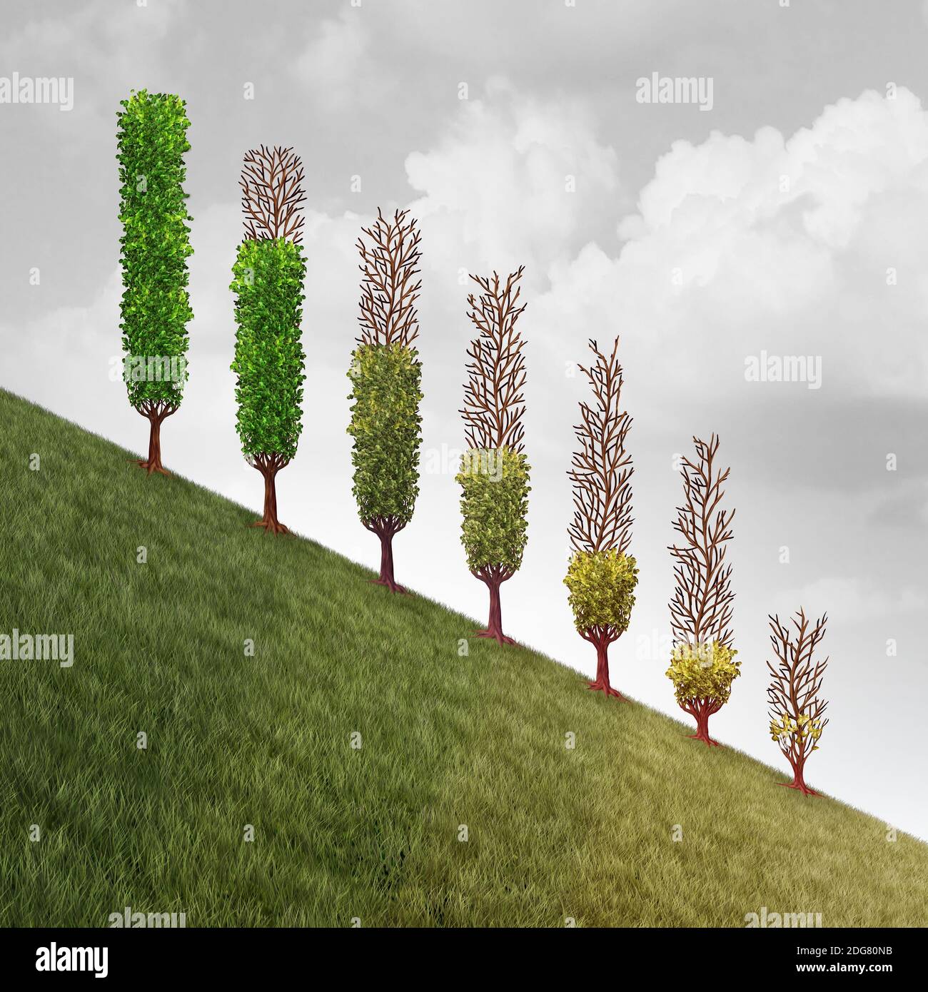 Recession business concept and economic activity decline or investing failure as losing money or savings with plants decreasing in height. Stock Photo