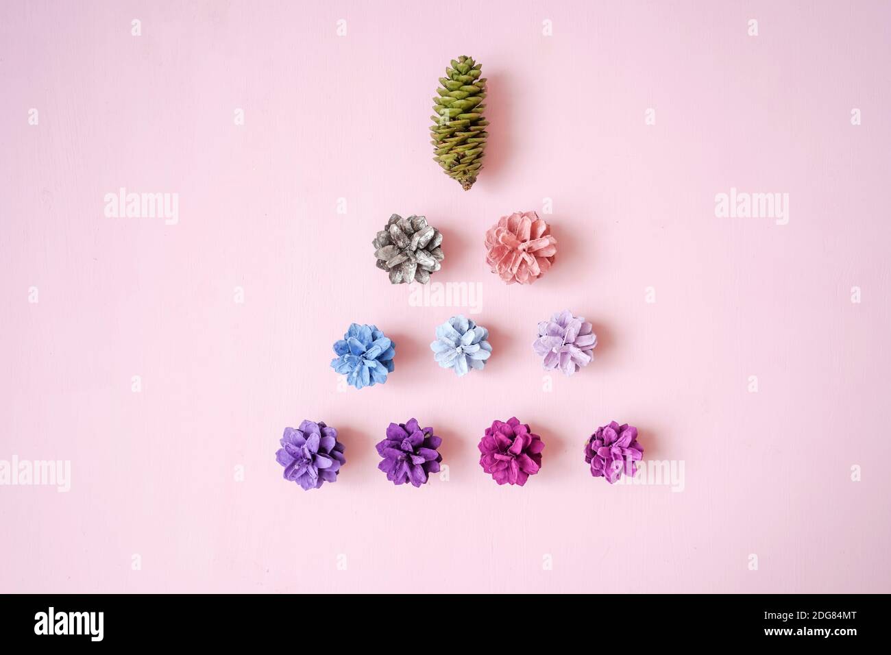 Christmas tree from Multi-colored pine cones on pink background, top view. Christmas and new year concept. Flat lay style. Stock Photo