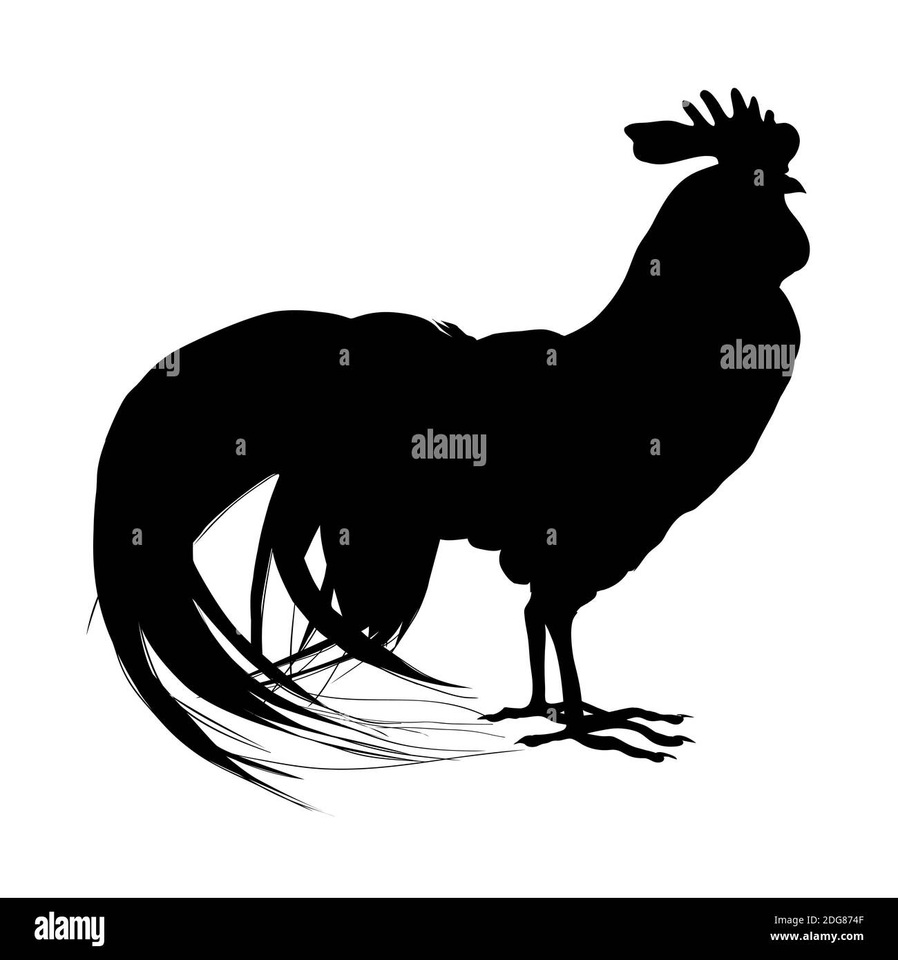 Cockerel Black Silhouette Stock Photo Alamy cockerel-black-silhouette-stock-photo-alamy