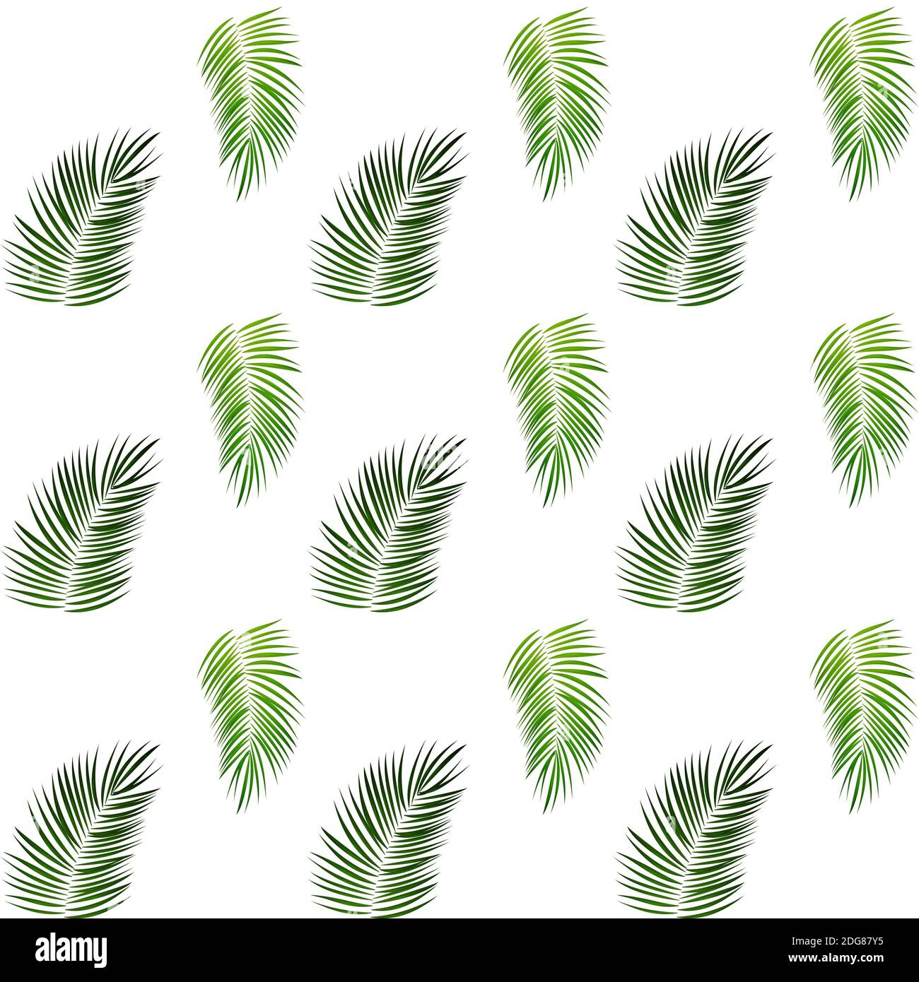 Palm Trees on White Background. Seamless pattern. Illustration Stock ...
