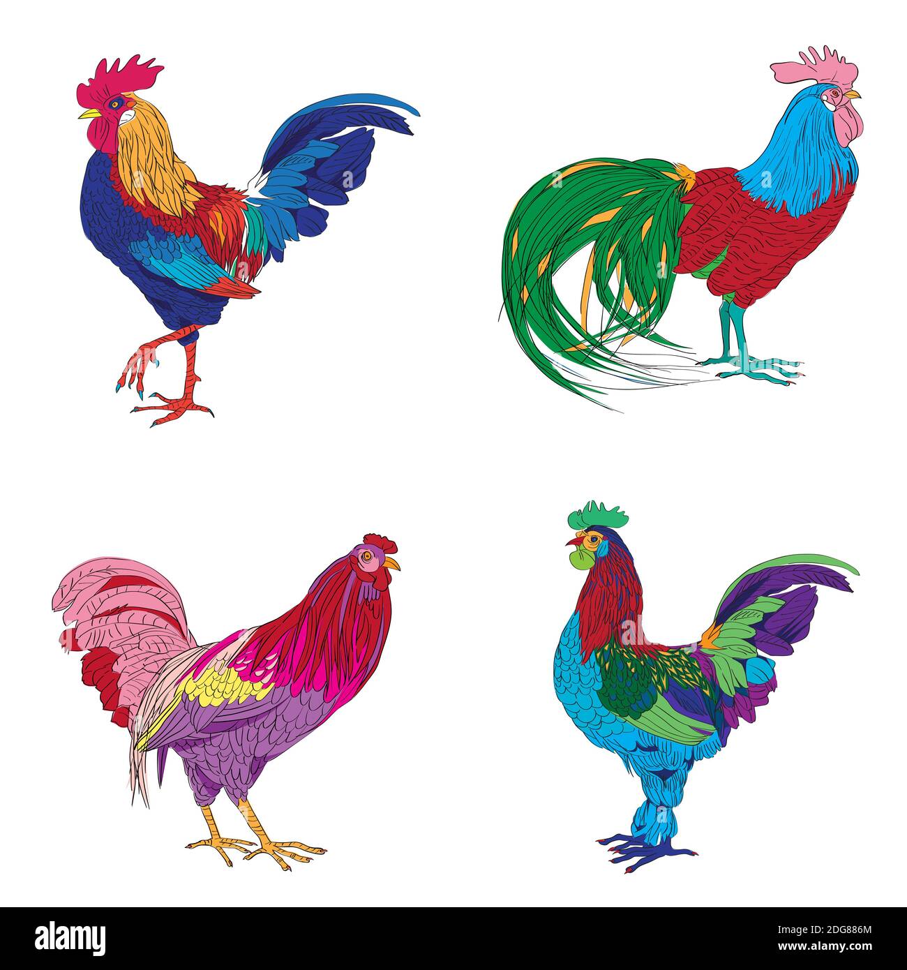 Four roosters series Stock Photo