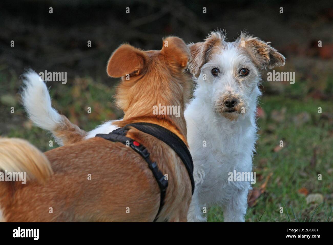 Get to know Stock Photo