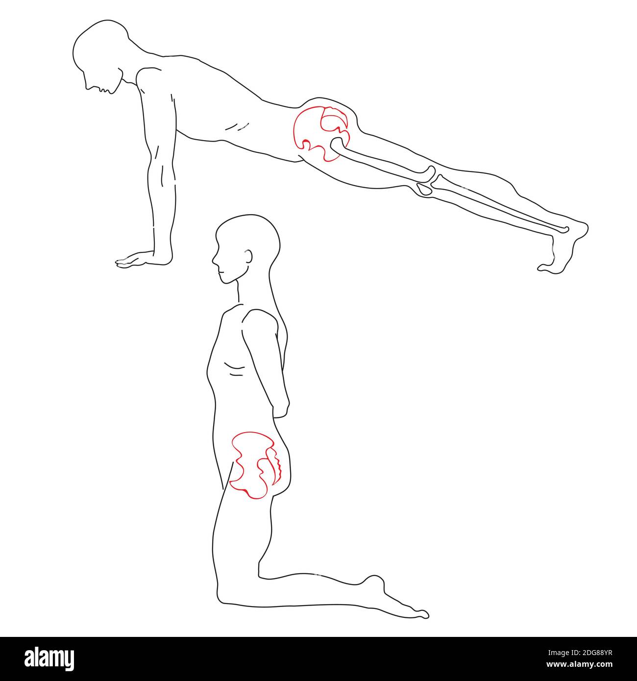 Positions of pelvis Stock Photo