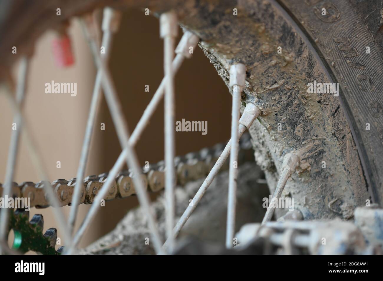 Studs detail hires stock photography and images Alamy