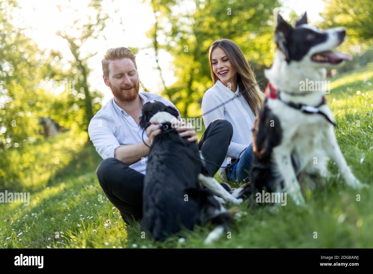 Happy young couple walking, playing with dogs in a park Stock Photo - Alamy