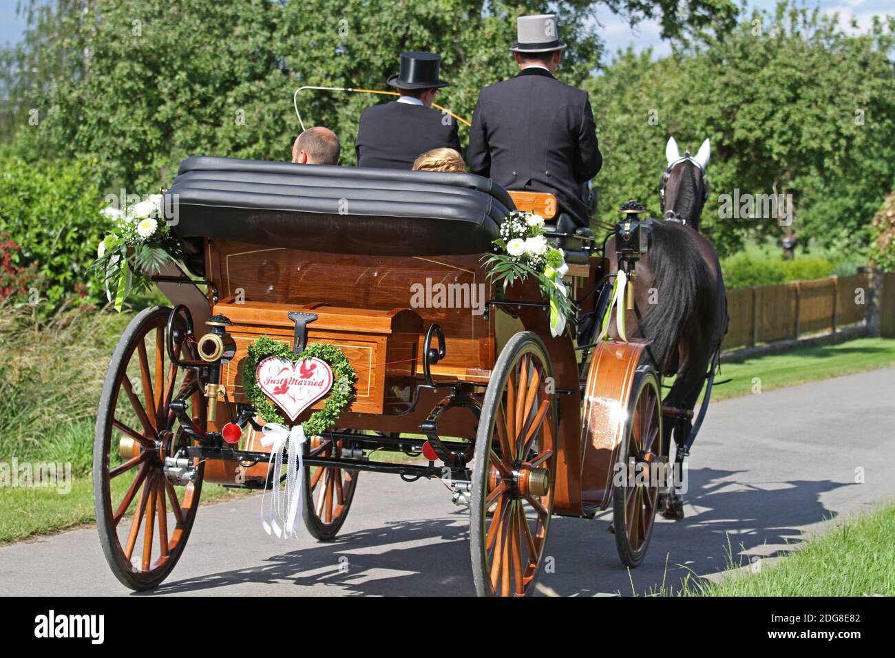 Horsedrawn wedding carriage Stock Photo