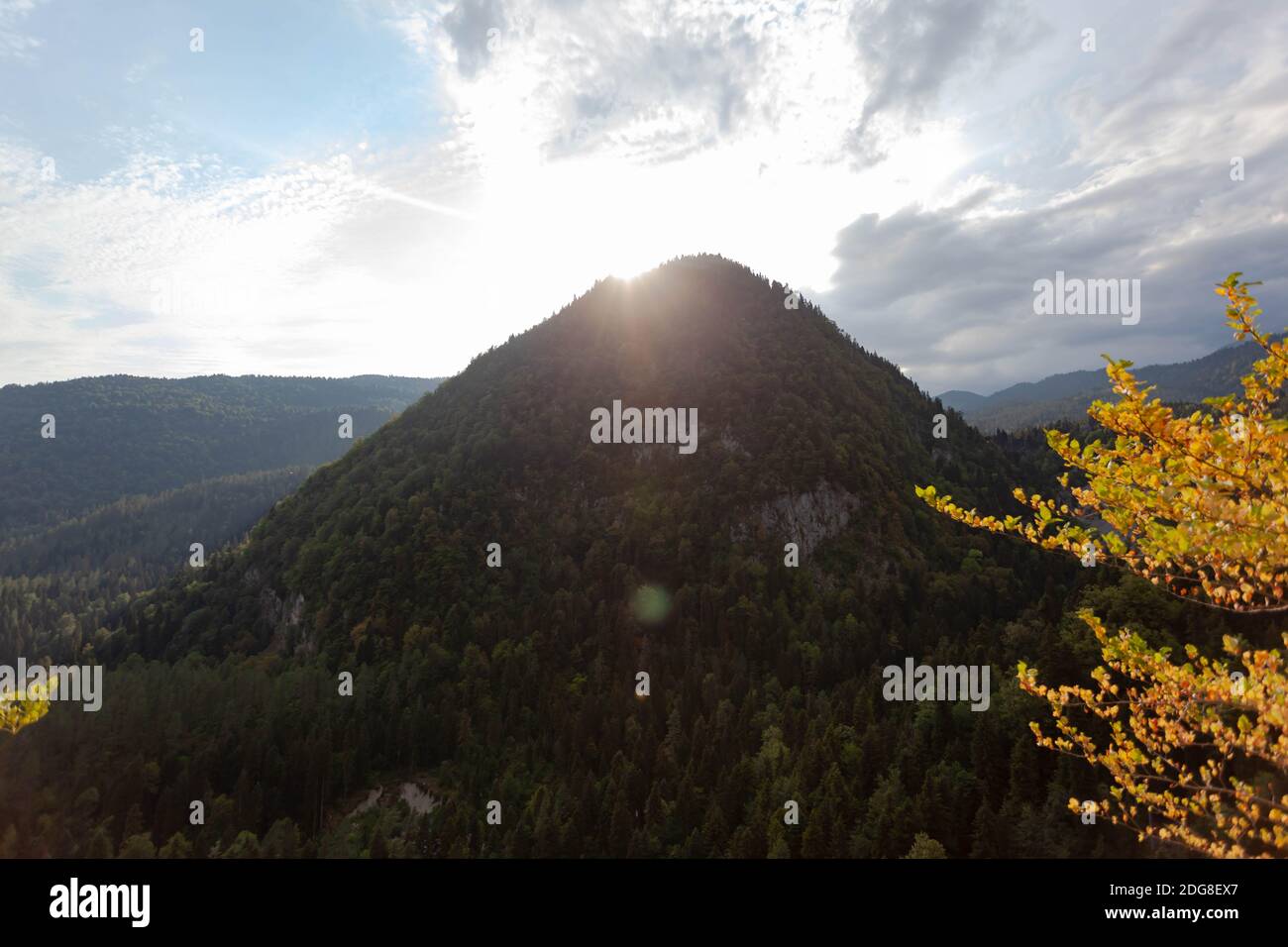 High mountain with spruces against the sky Stock Photo