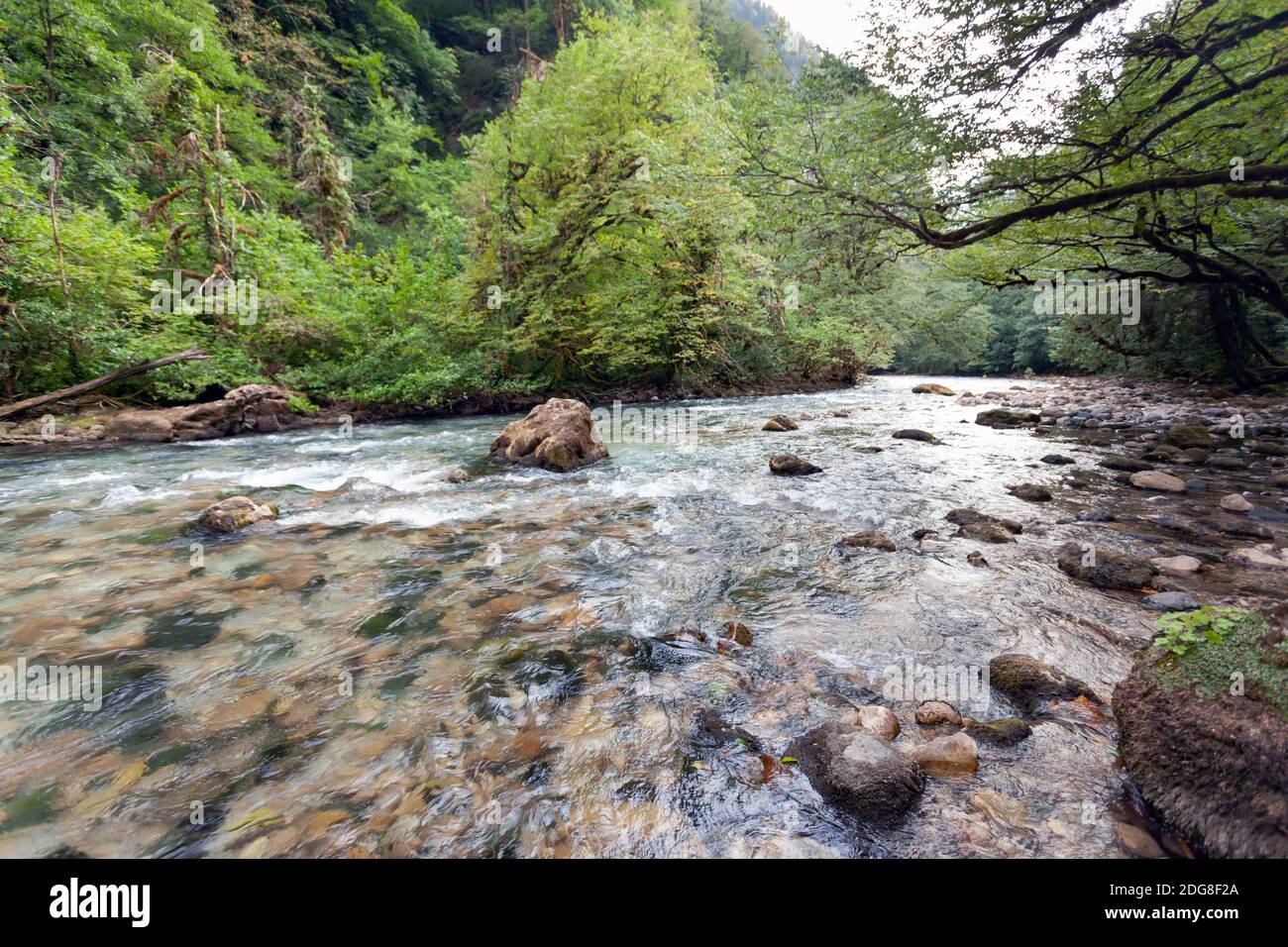 Beautiful mountain stream green hi-res stock photography and images - Alamy