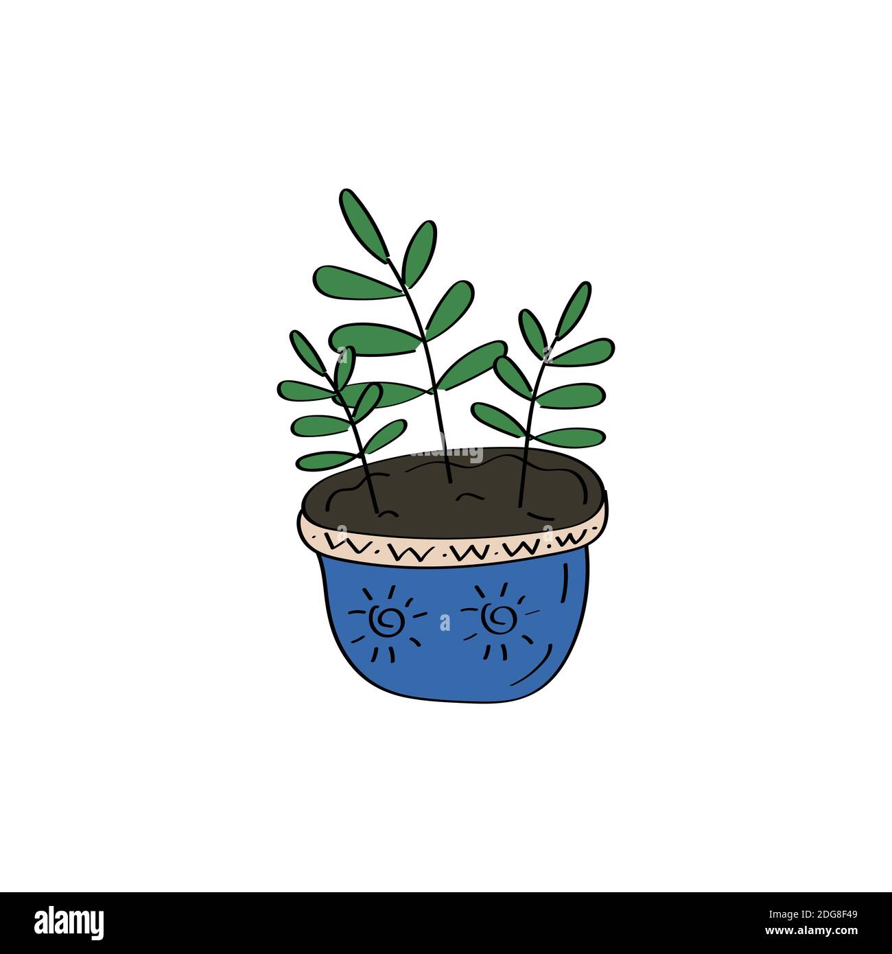 House plant. Flowers in pot. Ficus icon. Hand drawn vector doodle illustration Stock Vector