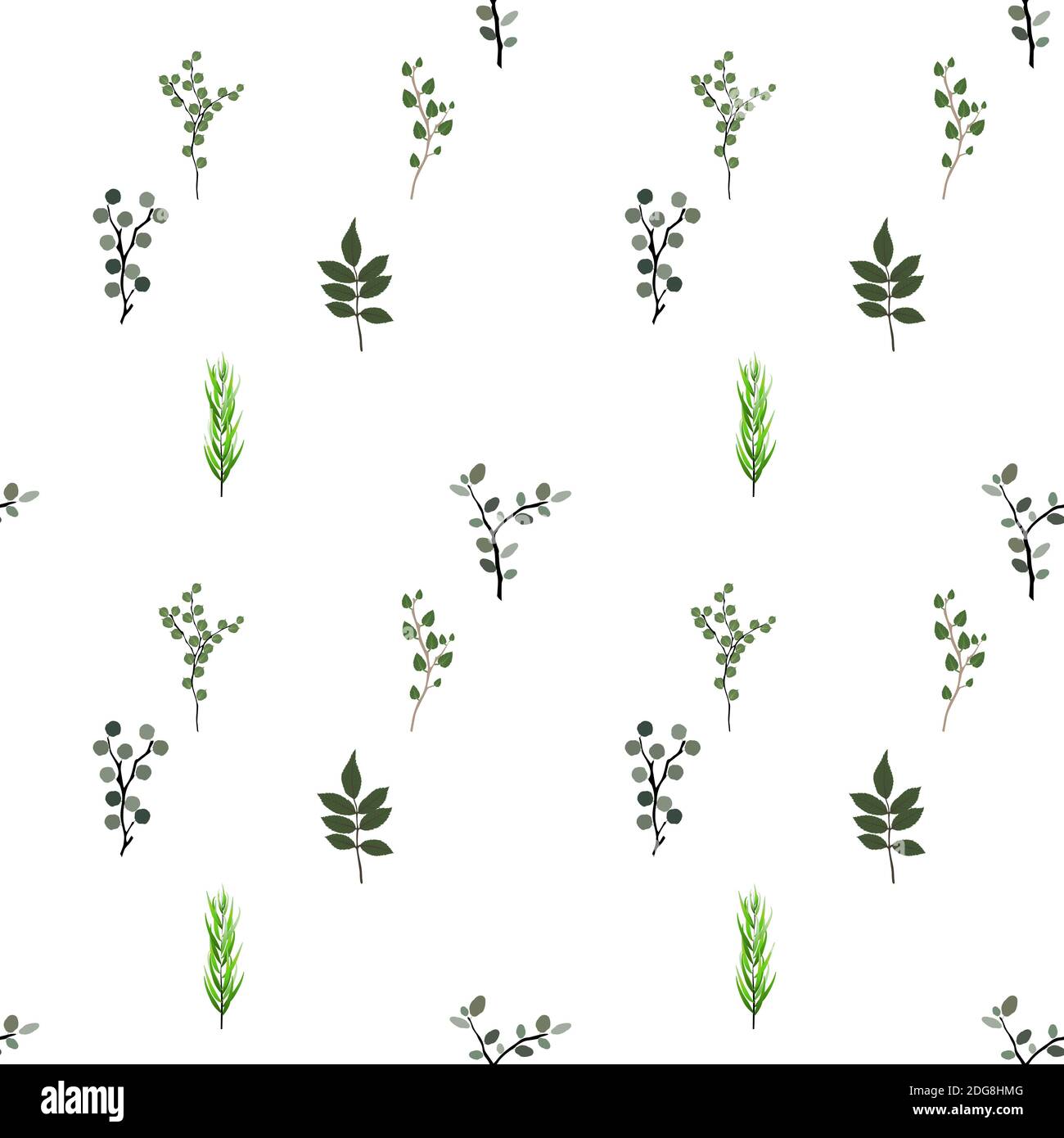 seamless pattern. Tropical elements: Agonis, Eucalyptus, Annona, Balata, Zamiokulkas Cissus Colorful naturalistic pictures Illustration Stock Photo