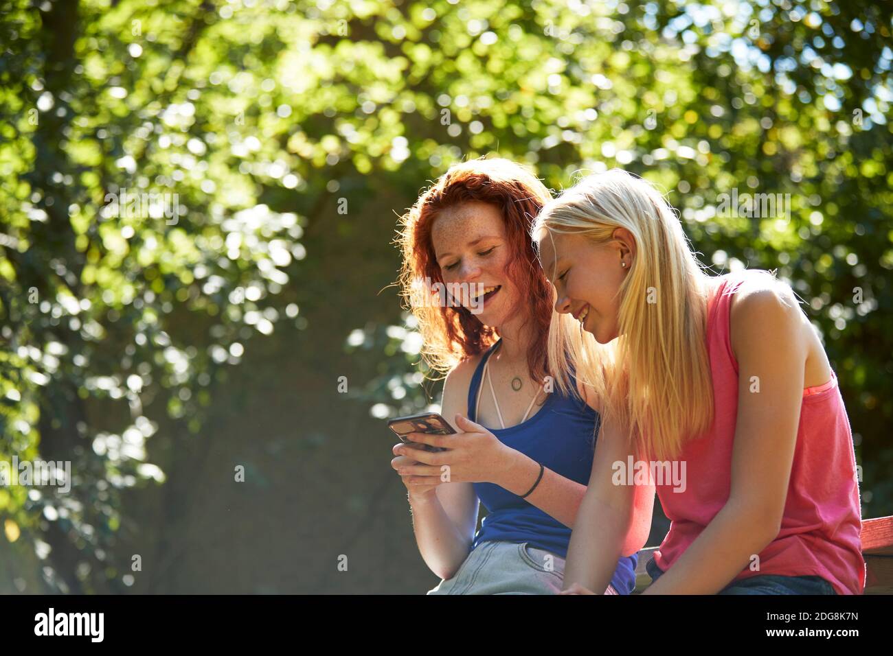 Happy preteen girl friends using smart phone below sunny trees Stock Photo