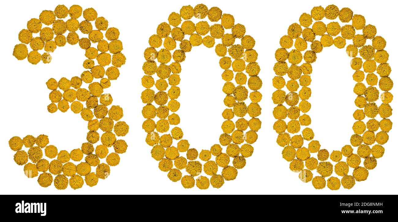 Arabic Numeral 300 Three Hundred From Yellow Flowers Of Tansy Isolated On White Background Stock Photo Alamy