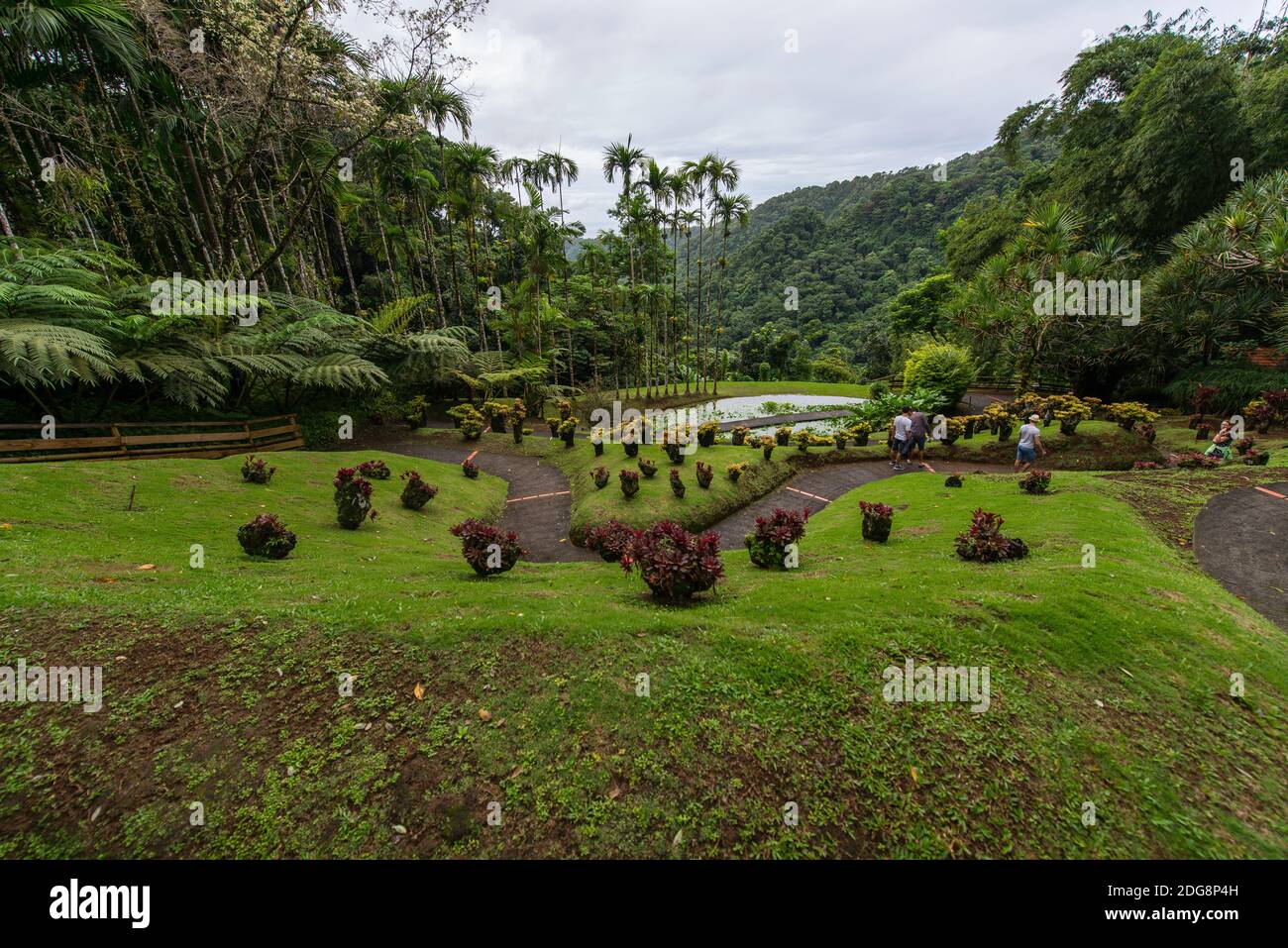 Botanical garden of Balata, Martinique, France Stock Photo Alamy