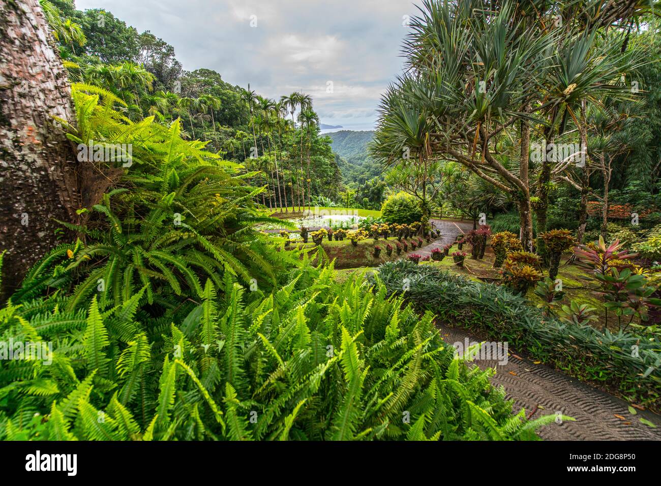 Botanical garden of Balata, Martinique, France Stock Photo