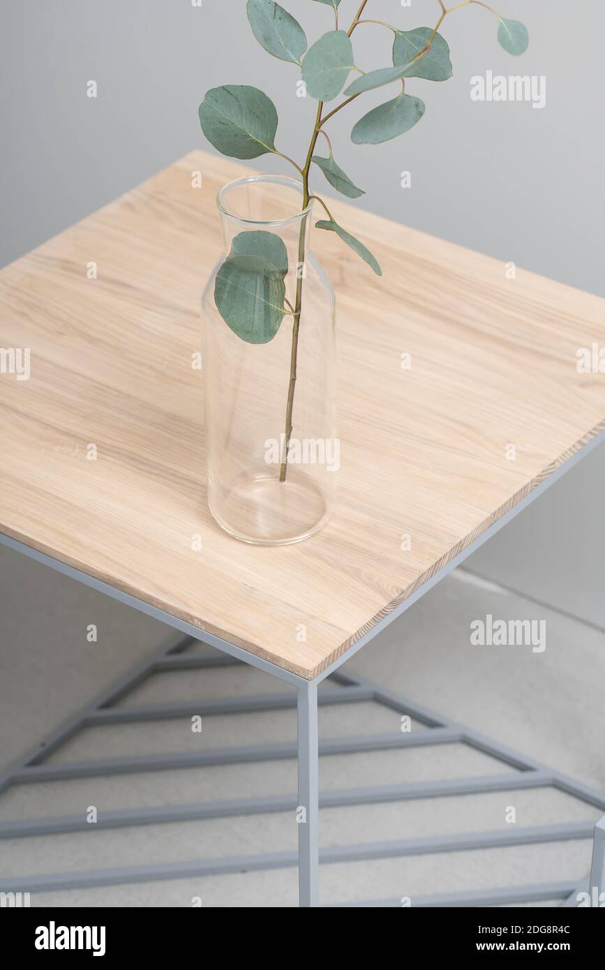 Eucalyptus branch in glass vase Stock Photo Alamy