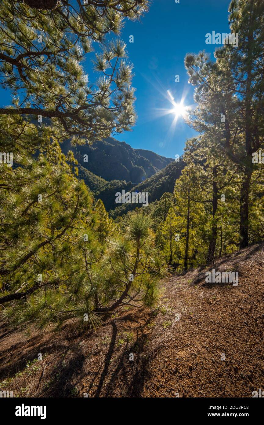 Caldera de Taburiente National Park, La Palma, Canary Islands, Spain Stock Photo