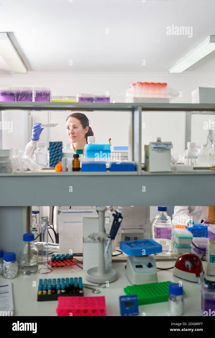 Laboratory specimen hires stock photography and images Alamy