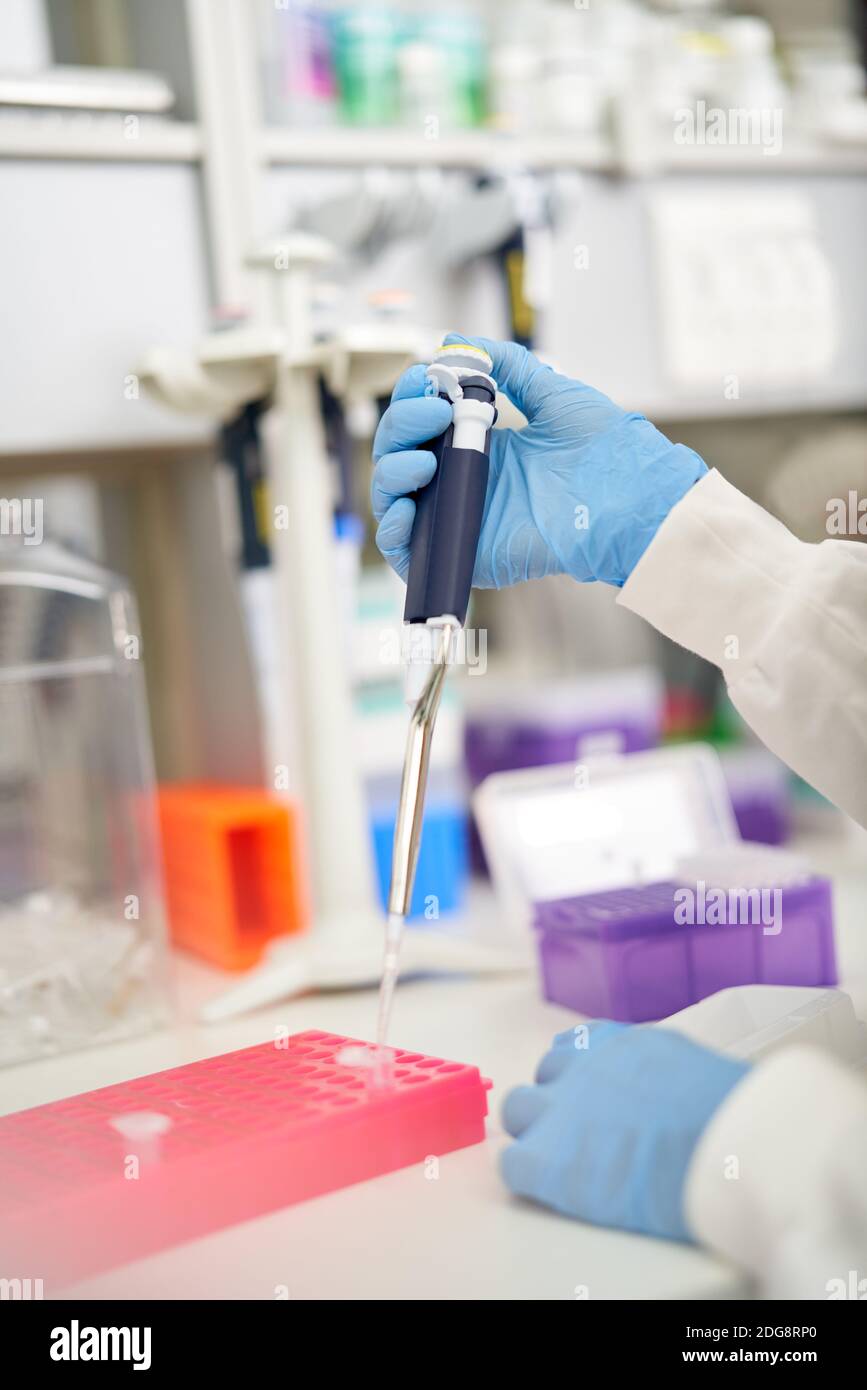 Close up scientist in rubber gloves using pipette to fill tray Stock Photo