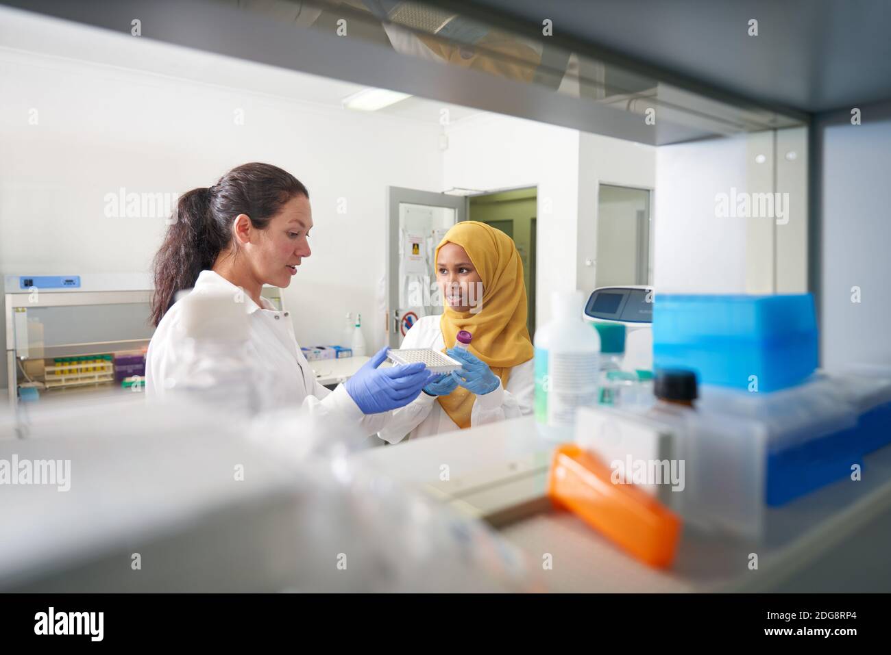 Female scientists with pipette tray talking in laboratory Stock Photo