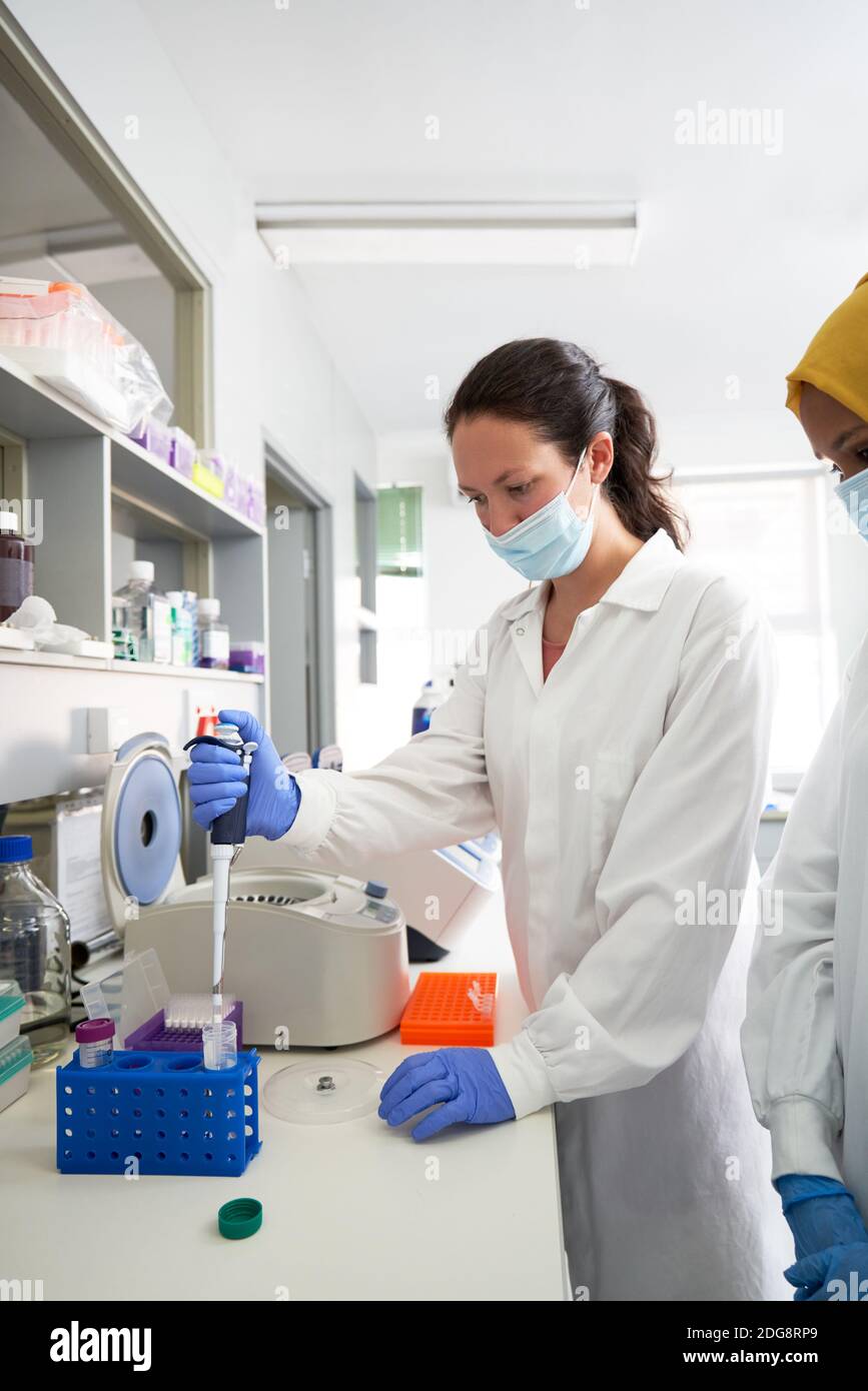 Female scientist in face mask using pipette at laboratory centrifuge Stock Photo