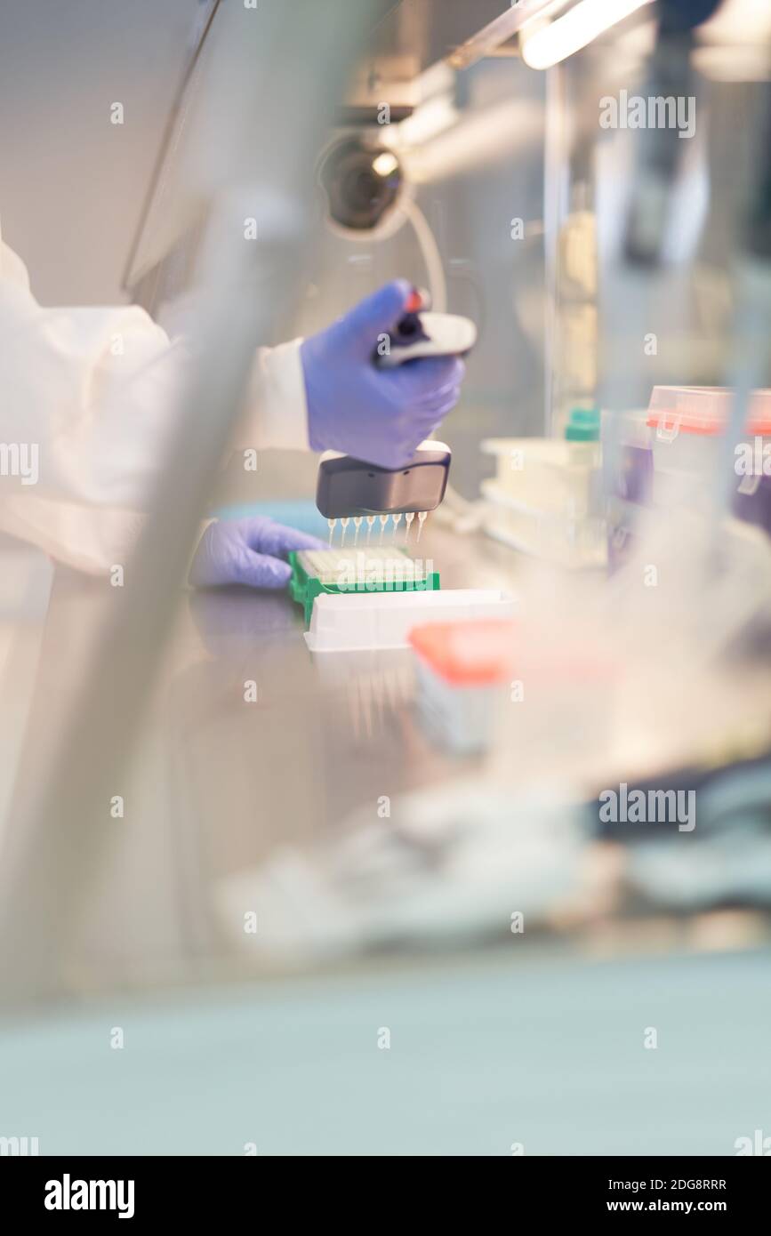 Scientist using pipette tray at fume hood in laboratory Stock Photo