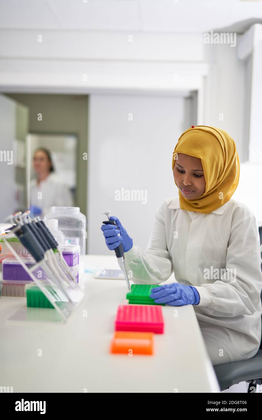 Female scientist in hijab filling pipette trays in laboratory Stock Photo
