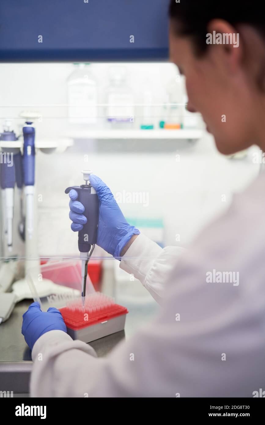 Female scientist using pipette tray at laboratory fume hood Stock Photo