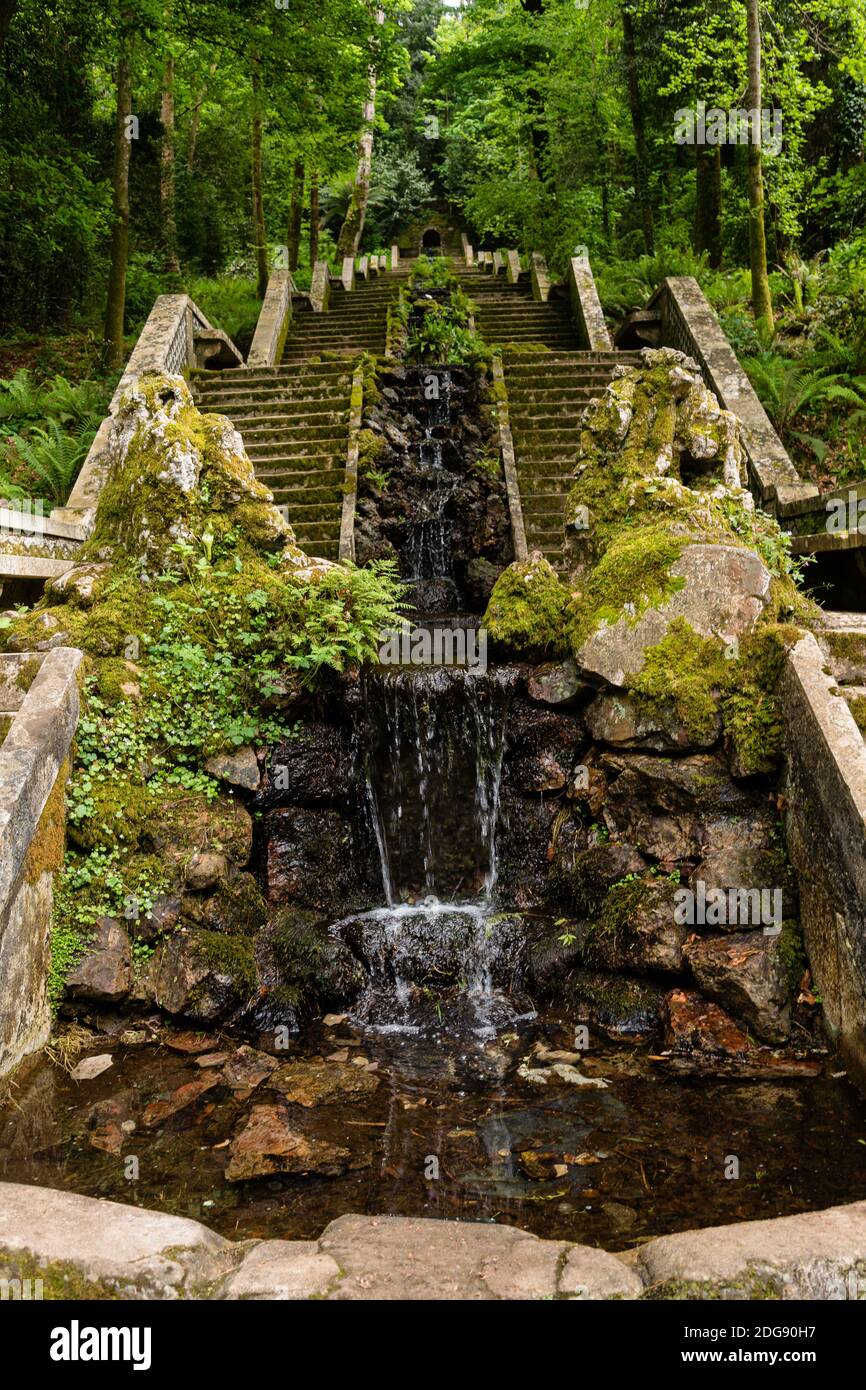 BUSSACO, PORTUGAL - Dec 05, 2014: Wide shot of small waterfall and stairs in mata do bussaco, Portugal, in a cloudy da Stock Photo