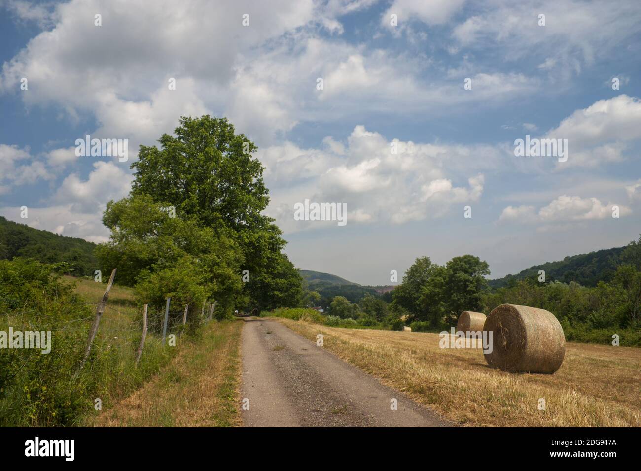 Hay harvest Stock Photo