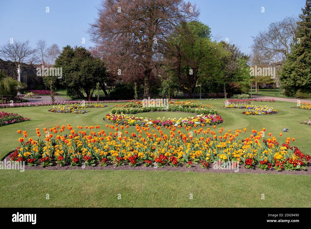 Formal flower display bedding hi-res stock photography and images - Alamy