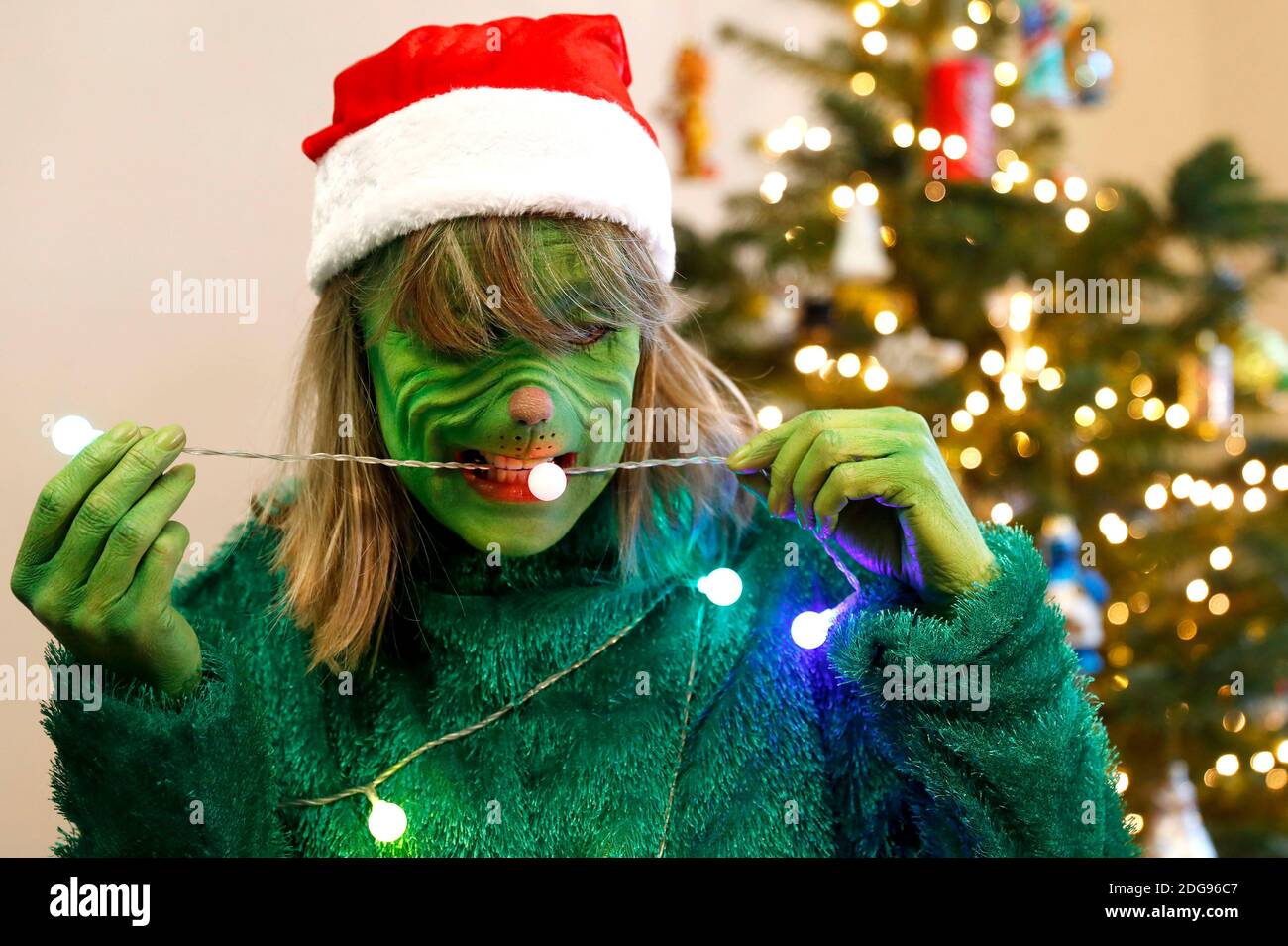 GEEK ART - Bodypainting and Transformaking: 'The Grinch steals Christmas' photoshooting with Maria Skupin as Mrs. Grinch at the Villa Czarnecki in Hameln on December 7th, 2020 - A project by the photographer Tschiponnique Skupin and the bodypainter Enrico Lein Stock Photo