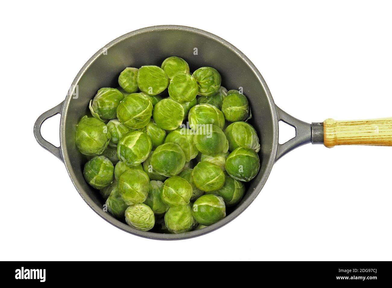 Rosenkohl , Brassica oleracea , in einem Topf Stock Photo - Alamy