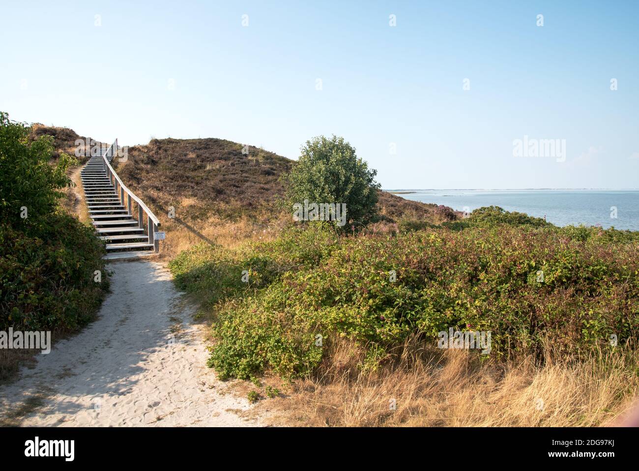Rose and nature hi-res stock photography and images - Alamy