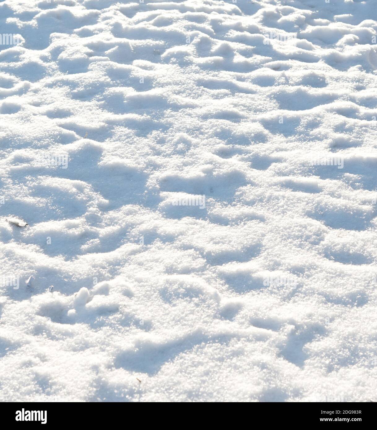 Fresh snow cover hi-res stock photography and images - Alamy