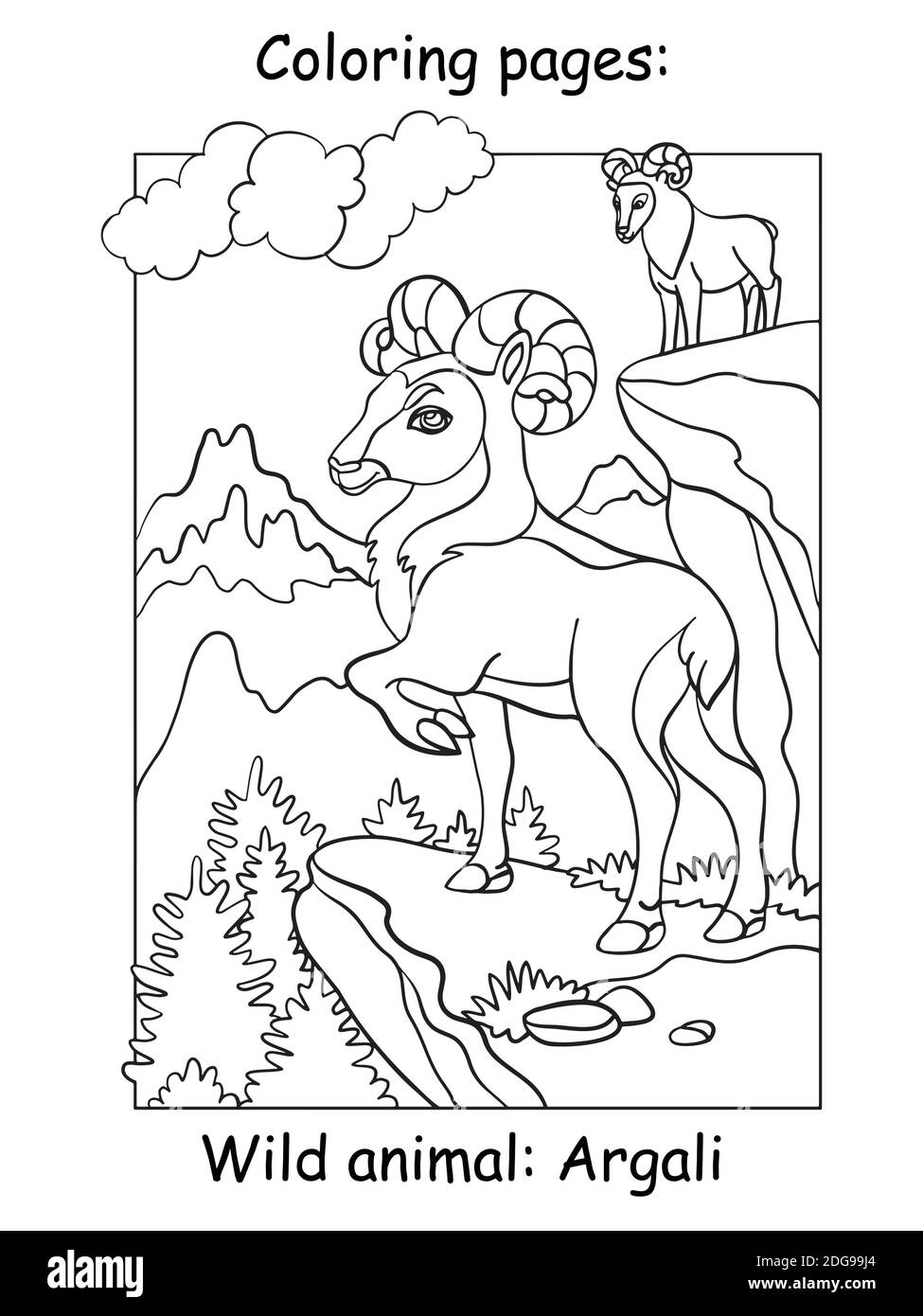 Vector coloring pages with cute argali in mountain area. Cartoon contour  illustration isolated on white background. Stock illustration for coloring  bo Stock Vector Image & Art - Alamy