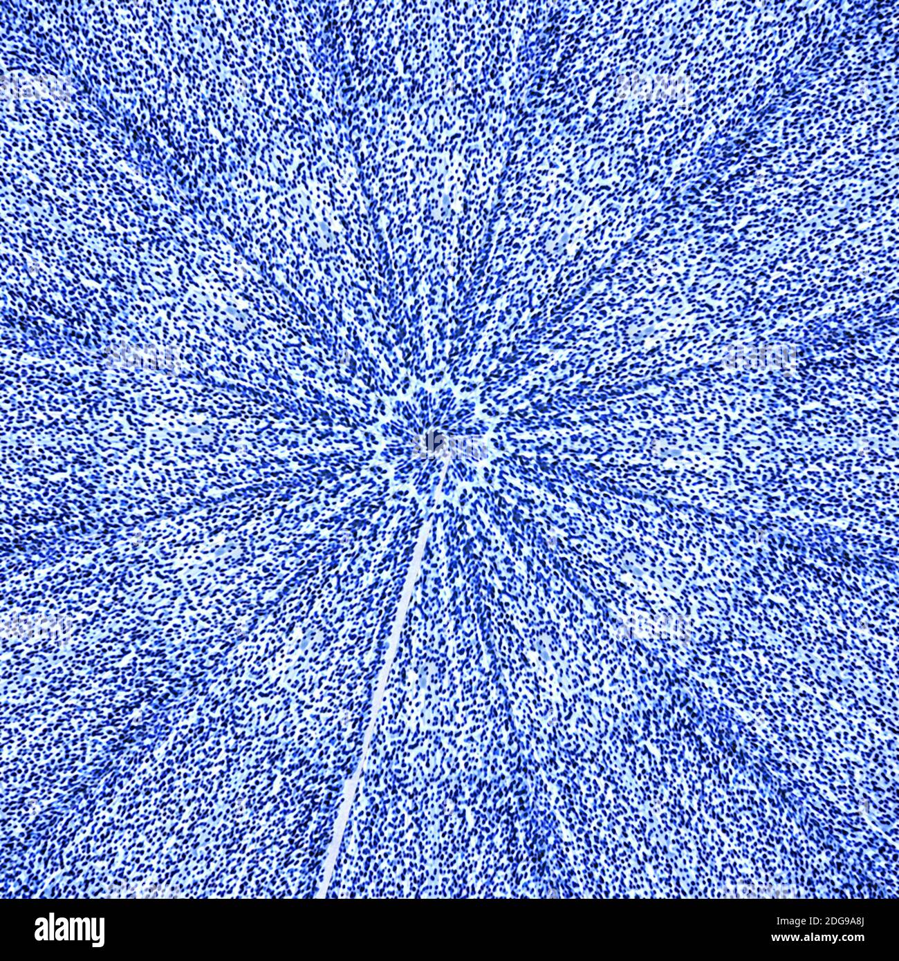 Radial Sacred Geometric Pattern Stock Photo