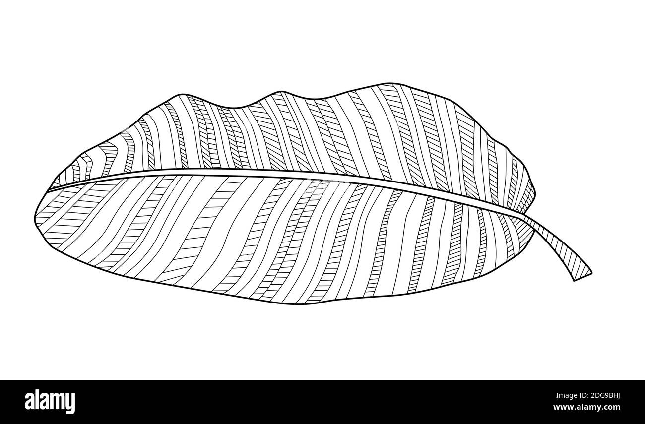 Black And White Banana Leaves Lines Design With Hidden Zipper Decor