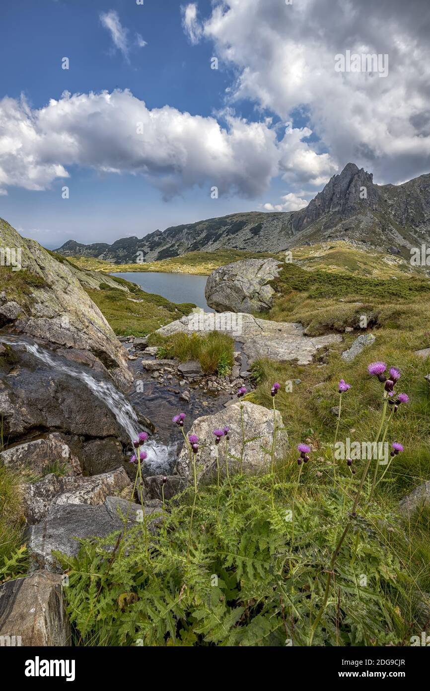 Stunning vertical landscape hi-res stock photography and images - Alamy