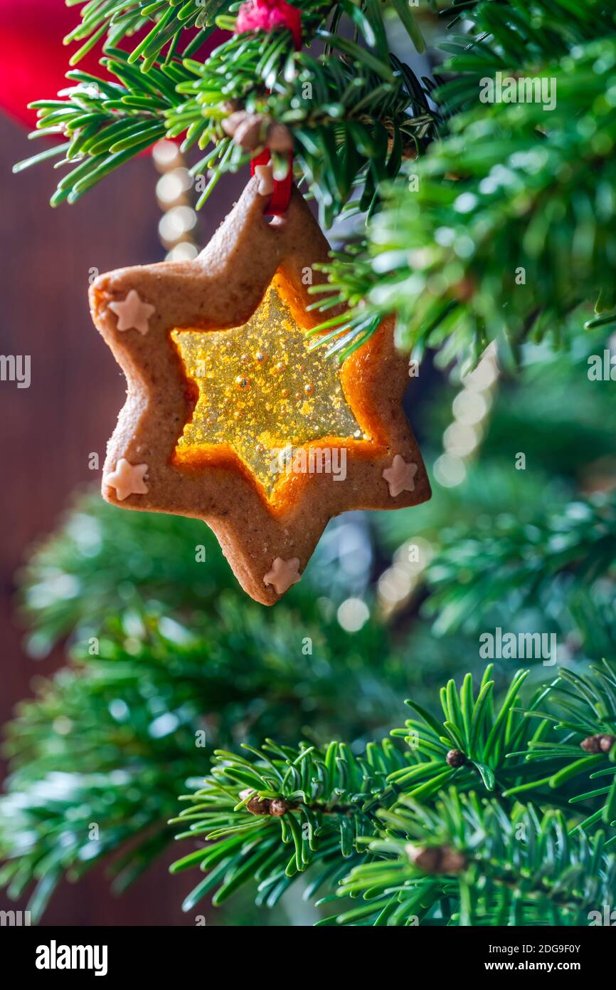 Christmas stained glass window biscuit on a Christmas tree Stock Photo