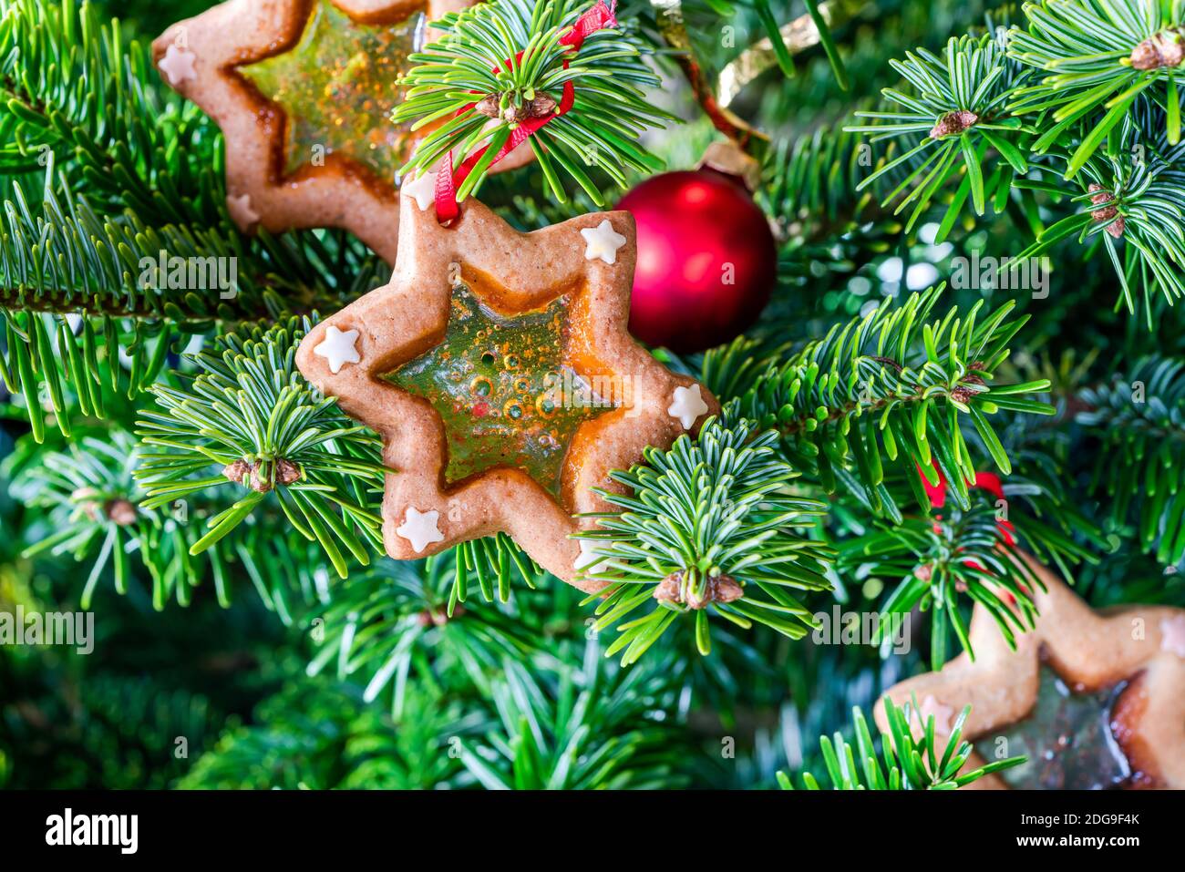 Christmas stained glass window biscuits on a Christmas tree Stock Photo Alamy