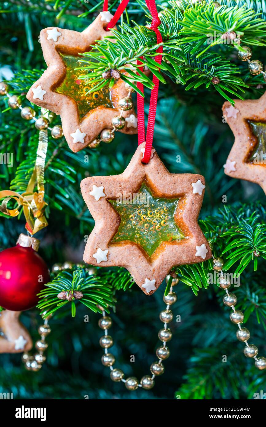 Christmas stained glass window biscuits on a Christmas tree Stock Photo Alamy