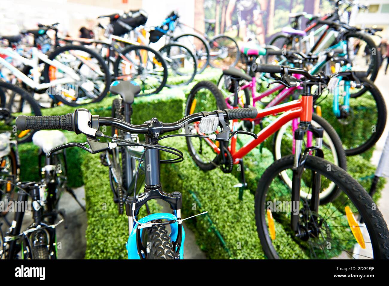 Row modern mountain bikes in sports shop Stock Photo - Alamy