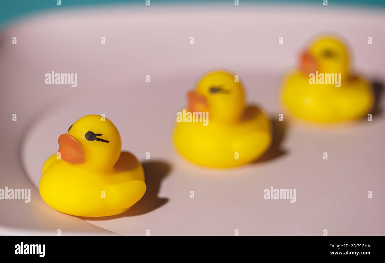 Three yellow rubber ducks in a row on a pink plate with focus in the foreground Stock Photo