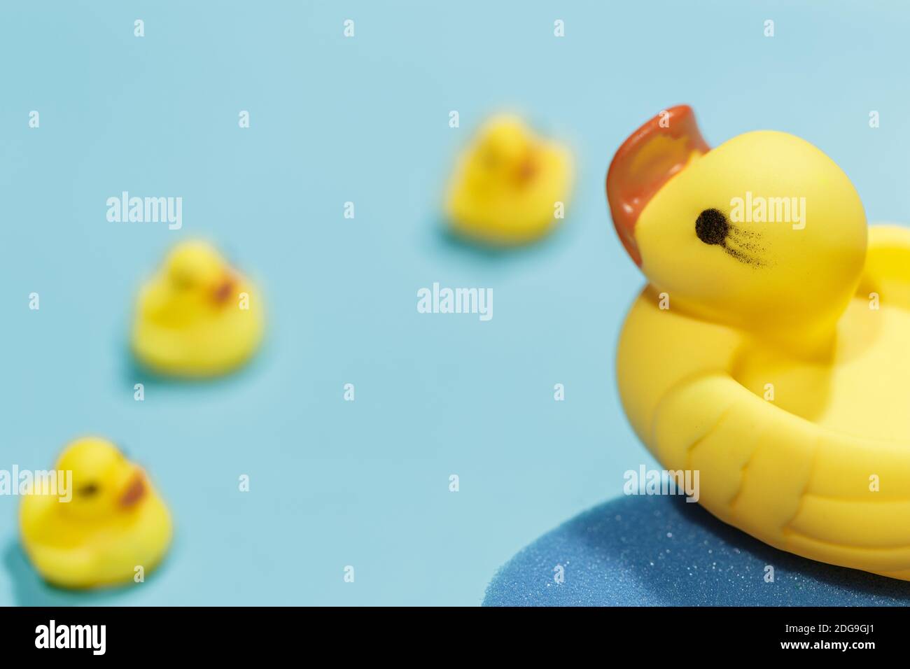 Closeup of yellow rubber duck over blue background Stock Photo